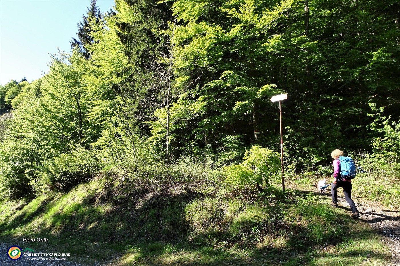 08 Partenza, sentiero 501 per il Monte Alben in zona Passo della Crocetta .JPG